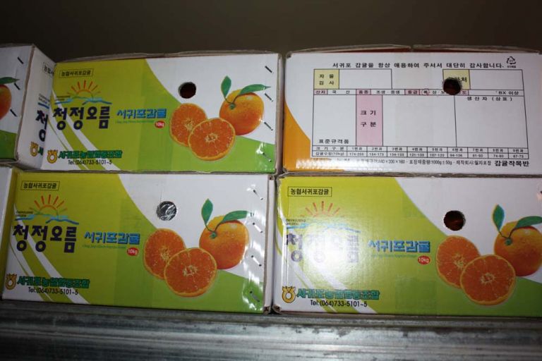 농협김치후원