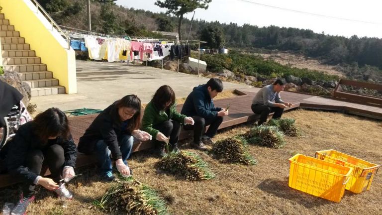대천동 동사무소 봉사활동