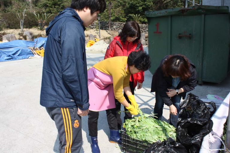 대천동 동사무소 봉사활동