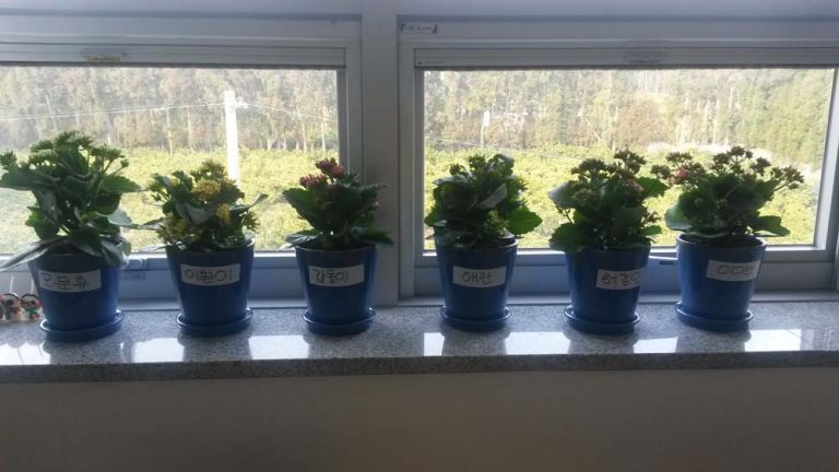 공동모금회프로그램-원예활동